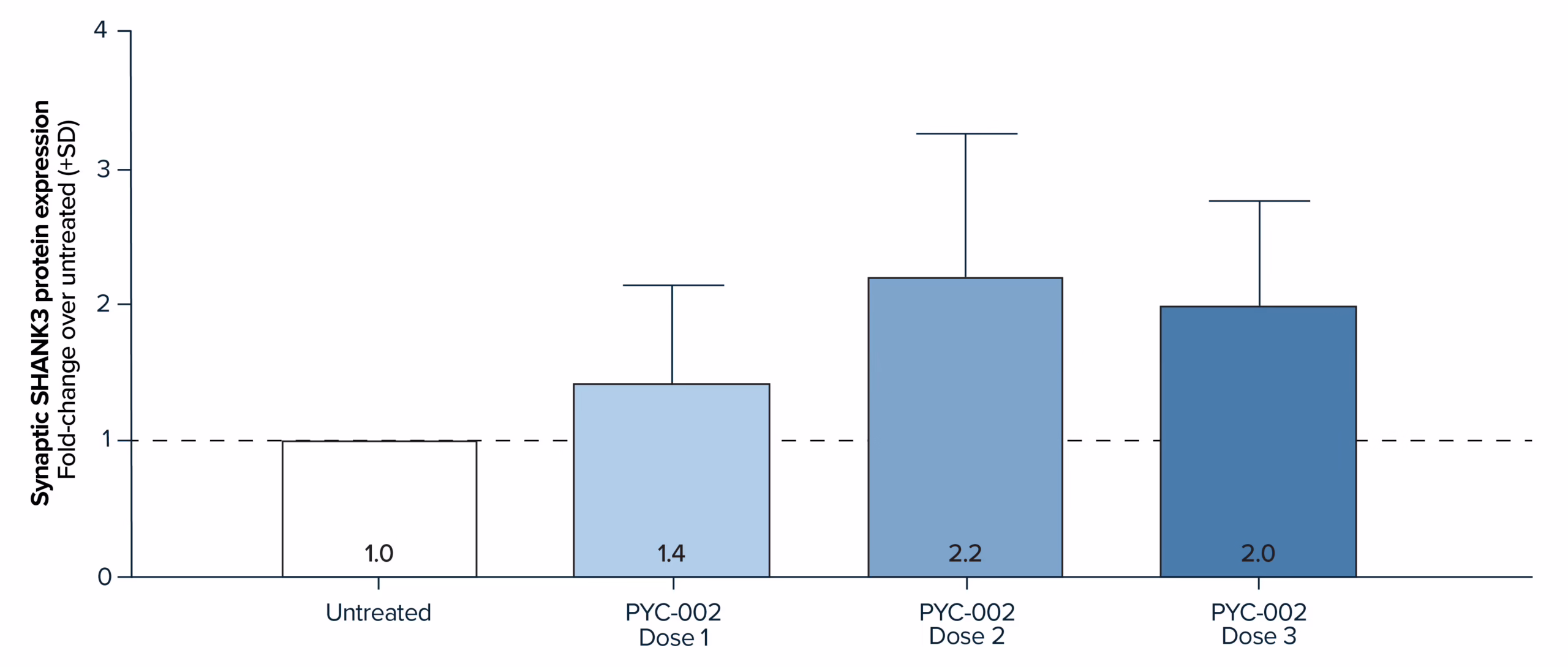 A bar graph titled ‘Synaptic SHANK3 protein expression in PMS-affected neurons’. The y axis is titled ‘Fold-change over untreated (+SD)’. There are four bars in the graph, the left bar is titled ‘untreated’ and reaches a value on the y-axis of approximately 1.0. The second bar is titled ‘PYC-002 dose 1’ and reaches a value on the y-axis of approximately 1.4. The third bar is titled ‘PYC-002 dose 2’ and reaches a value on the y-axis of approximately 2.2 The fourth, right-most bar is titled ‘PYC-002 dose 3’ and reaches a value on the y-axis of approximately 2.0.